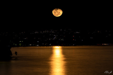 Moonrise Over The Bay